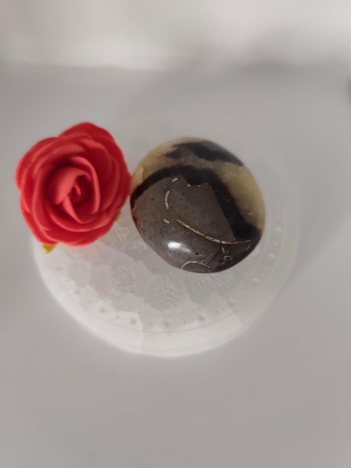 Septaria